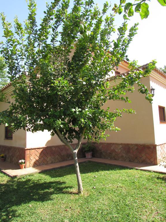 Casa Rural Oregano 카르모나 외부 사진